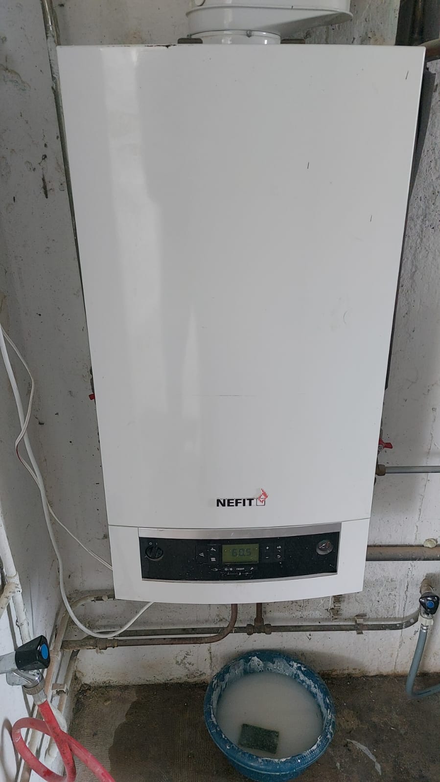 cv-ketel Best cv-ketel Best
