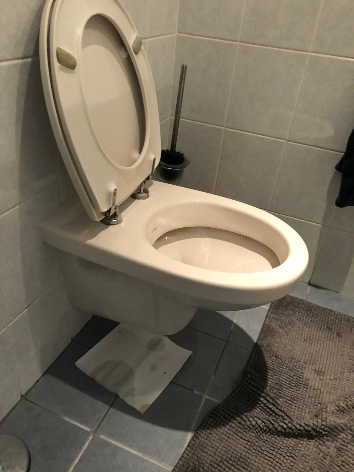 hangtoilet Best